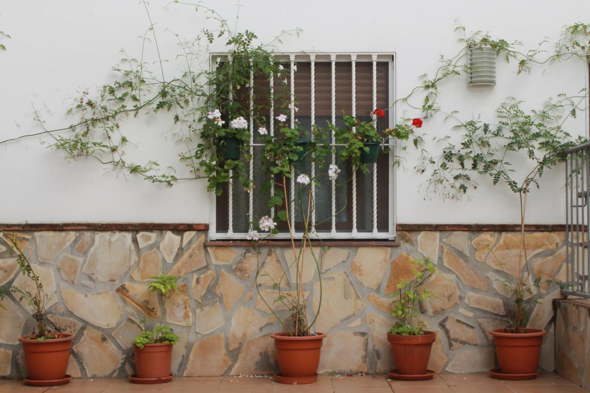 Casa Secreta Velez-Malaga Centro Apartment ภายนอก รูปภาพ